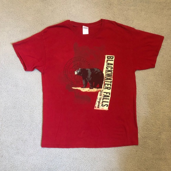 Gildan Other - Vtg 00s Blackwater Falls West Virginia Bear T-Shirt Red Mens Large Black Bear WV
